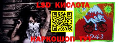 стаф Кунгур