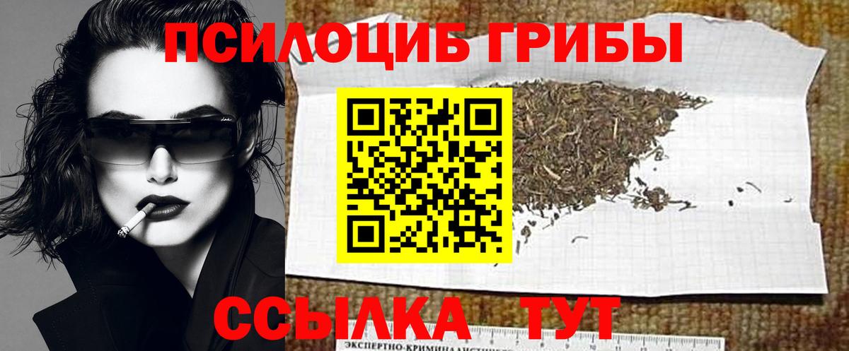 Галлюциногенные грибы Psilocybe Тавда