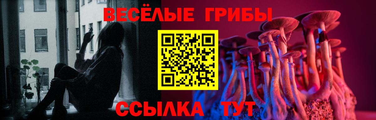 Тавда  Галлюциногенные грибы Psilocybine cubensis  Вход с VPN 
